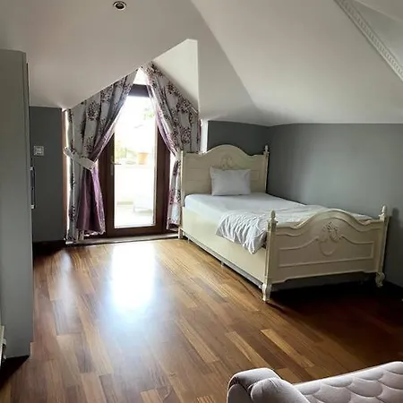 Appartamento Sisli Nadide Sokak Teras D:6 Provincia di Istanbul